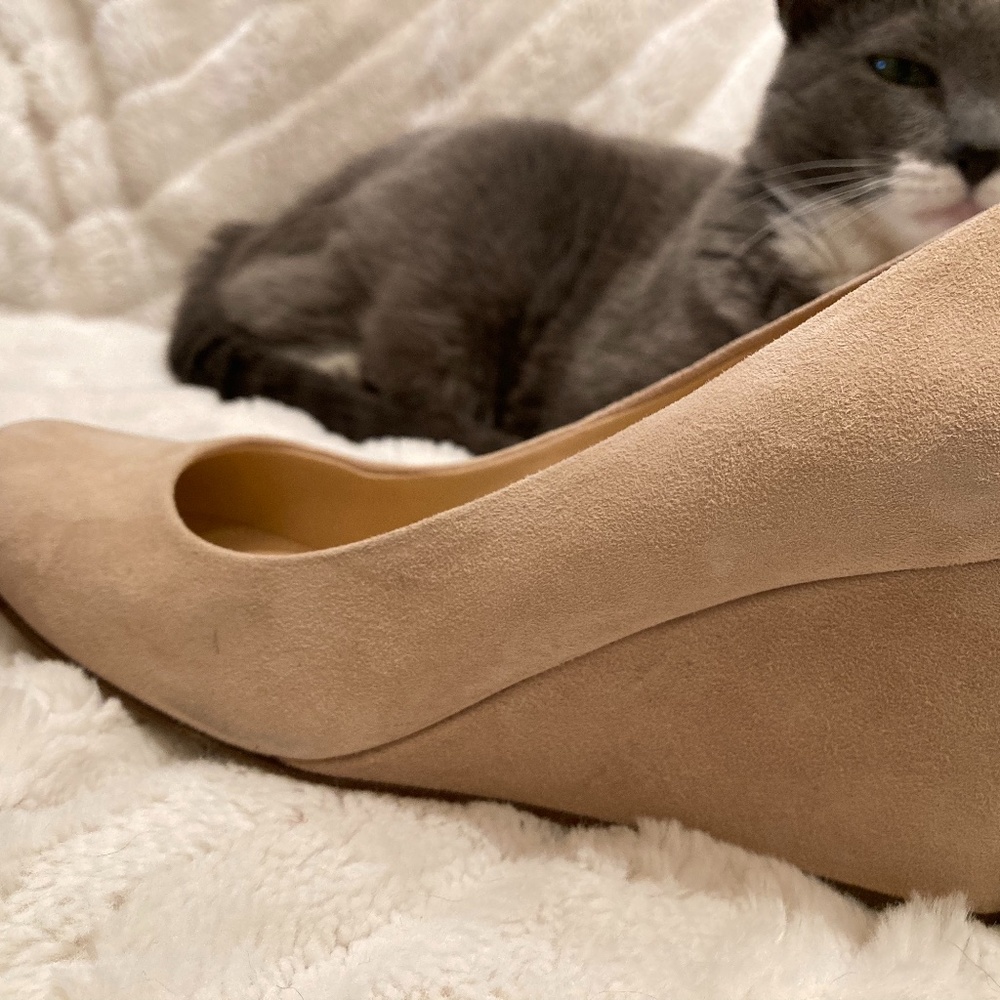 Iconic J.Crew Wedge Pump